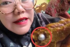 Temuan Peluru Senapan Angin Kantor Pelayanan Pemenuhan Gizi Bekukan Sementara Operasional Dapur Satuan Pelayanan Sindangsari