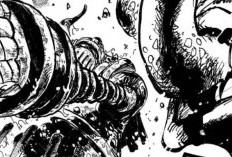 Lisez Manga One Piece Chapitre 1120 En VF Sçan et Date de Sortie, Élucidera Le Mystère De Joy Boy