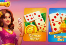 Klaim Kode Penukaran Boss Domino Maret 2024, Banjir Chip Gratis! Main Slot Dijamin Makin Hoki