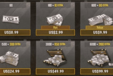 Harga UC PUBG Hari Ini Terbaru 2024, Mulai Rp 1000 an! Ini Toko Murah Aman dan Terpecaya