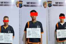 Meresahkan! Akhirnya Pelaku Maling Kerbau di Labuhanbatu Ditangkap, Pelaku Berjumlah 6 Orang Mengaku Baru Sekali Melancarkan Aksinya