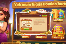 Cara Top Up Higgs Domino DANA Murah 1B Chip! Aman dan Terpercaya Dapat Bonus 50%!