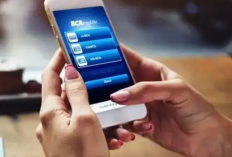 Cara Menghubungkan Routing Number BCA dengan PayPal dalam Hitungan Detik, Dijamin Langsung Berhasil!