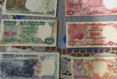 Nomor WhatsApp (WA) Kolektor Uang Kuno Terdekat Yang Masih Aktif, Hubungi Langsung Buat Transaksi 