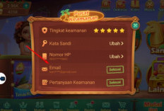 Cara Mengatasi Lupa Akun Gmail Higgs Domino Island, Simak Lengkapnya Supaya Bisa Main Sepuasnya!