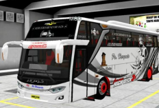 Download MOD BussID Terbaru 2023, tersedia Berbagai Tipe Livery Gratis dan Unlock Semua Fitur