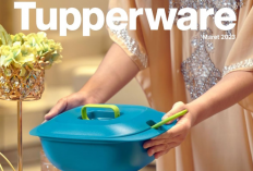 Katalog Promo Tupperware Maret 2023 Diskon Hbeoh Sampai 50 %, Buruan Amankan Sebelum Kehabisan