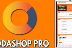 Download Codashop Pro Off Apk ML FF & PUBG Bulan Januari 2024, GRATIS hingga 0 Rupiah! Yakin Nggak Mau Nyoba?