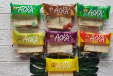 Rincian Modal Jadi Distributor Roti Aoka Tahun 2023 Lengkap Dengan Cara dan Alamat Agennya
