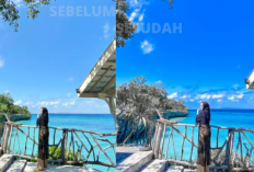 Cara Pakai Preset Lightroom Cerah di PC Terbaru 2023 : Lengkap Dengan Rumus Preset Yang Bisa Di Copas