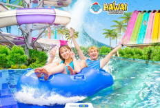 7 Wahana Permainan Seru di Hawai Water Park yang Menguji Adrenalin, Jangan Lupa Cobain! 