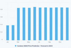 Update Prediksi Harga Cardano Bulan Februari 2024, Diperkirakan Alami Peningkatan!