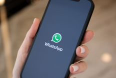 Social Spy WhatsApp 2024, Cara Jitu Sadap HP Jarak Jauh, Awas! Ternyata Ini Dia Resikonya