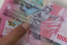 Situs Direkturtoto Penipuan? Awas Scam! Ini Dia Review Jujur Pengguna Aplikasi Penghasil Uang