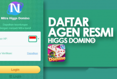 Tutorial Daftar Mitra Resmi Higgs Domino Island, Dapatkan Harga Chip dan Item Lebih Murah!