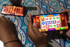 Penjual Chip Higgs Domino Terdekat di Surabaya, Murahnya Kebangetan! Harga Terbaru 2024 Mulai dari Rp500 Aja