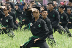 Daftar Jurus Pagar Nusa Lengkap, Gerakan Untuk Dipelajari Setiap Siswa