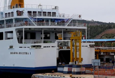 Jadwal Kapal Dharma Rucitra 1 Banjarmasin-Surabaya Februari 2023, Lengkap dengan Harga Tiket