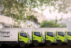 Walk-In Interview! Lowongan Kerja PT Multi-Link Logistics Indonesia Terbaru 2024 Untuk Lulusan SMA/SMK, D3, S1, Hingga S2