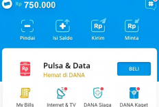 Saldo DANA Gratis Rp100 Ribu Hari Kamis 25 Januari 2024, Langsung Cair ke Rekening dan Lumayan Buat Jajan