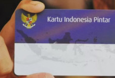 Cara Daftar KIP Lengkap Dengan Syarat, Tahapan, dan Dokumen yang Wajib Kamu Persiapkan 