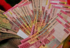 Rekomendasi Game Penghasil Uang Cair Jutaan Rupiah ke DANA 2024, Sanggup Hasilkan Cuan Melimpah Real No Fake!