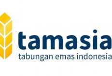 Tamasia Ilegal Sudah Dipastikan Otoritas Jasa Keuangan: Sudah Dihentikan Sejak 2018!