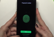 Cara Menambahkan Fingerprint di HP Oppo A16 Sebagai Kunci Layar Utama, Ikuti Tipsnya Berikut