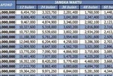 Tabel Angsuran KUR BRI Terbaru 2024 Rp 200 Juta, Cicilan Mulai 5 Jutaan Saja! Buruan Ajukan Sekarang