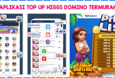 Top Up 1B Higgs Domino Harga Paling Murah Cuma Disini, Dapatkan Sekarang!