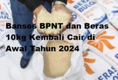 Bansos Bantuan Beras 10 Kg Kapan Cair? Sudah Diumumkan! Catat Tanggalnya dan Cek Melalui Link Berikut