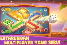 Klaim Kode Referral Sunny Domino Hari Ini 14 Februari 2024, Redeem dan Dapatkan Reward Spesial!