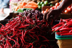 Harga Cabai Hari Ini 28 Januari 2024 Diperkirakan Naik, Cek Disini! Terlengkap dari Berbagai Daerah