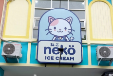 Franchise Neko Ice Cream : Cara Bergabung, Syarat dan Ketentuan 2023