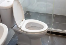 Rekomendasi Jasa Sedot WC Kediri Termurah, Dilengkapi dengan Nomor Telepon Pemiliknya