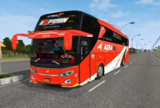 2 Link Download Livery Bussid V 3.71 JB3 Mercy 0500RS PO Agra Mas Terbaru 2023, Buat Kendaraan di  Bus Simulatormu Makin Ciamik!