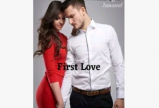 Baca Novel First Love Anita Dan Ervan Gratis Full Chapter, Ketika Cinta Masa Lalu Belum Kelar