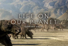 Nonton Series Life on Our Planet (2023) SUB INDO Full Episode 1-8: Kisah Dokumenter Bertahannya Makhluk Hidup di Bumi