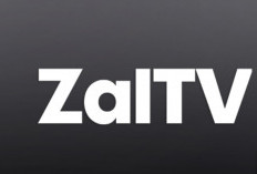 Cara Dapat Kode Aktivasi Zaltv Hari Ini Terbaru Versi Pro GRATIS, Catat Langsung Begini Tutorialnya