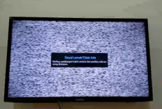 Penyebab TV Polytron Tidak Muncul Gambar dan Suara, Jangan Langsung Bawa ke Bengkel! Ikuti Langkah Berikut