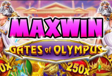 Gratis Download Injector Hack Slot Online Apk Update 2024, Pasti Gacor yang Bikin Full Senyum!