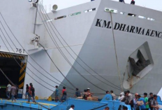 Harga Tiket Kapal Laut Surabaya-Lombok Februari 2023, dari Bayi Hingga Dewasa