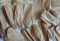 Contoh Kerajinan dari Kulit Jagung Paling Aesthetic dan Mudah Untuk Dibuat Seniman Pemula