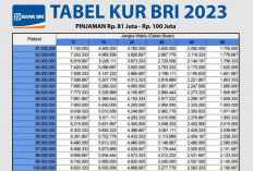 Ingin Daftar KUR BRI? Simak Tabel Cicilan Bulan November 2023, Buruan Daftar Kuotanya Tinggal Dikit!