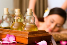 Rekomendasi Tempat Spa Plus Hiburan Jember Terdekat Khusus Pria, Layanan VIP, dan Bisa Panggilan Ready ke Hotel