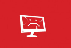 Tak Perlu Panik! Fortnite Server Status Down, Bagaimana Cara Ngeceknya? Ikuti Cara Berikut Ini