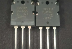 Cara Menambah Transistor Final Pada Power Amplifier, Dilengkapi dengan Gambar Skemanya