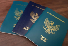 Syarat dan Ketentuan Buat Paspor di Batam, Usia Dibawah 17 Tahun Masih Bisa Kok!