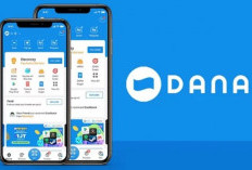 Bikin Pusing! Ini Penyebab Aplikasi DANA Tidak Bisa Dibuka, Jadi Gagal Pinjam Uang Deh