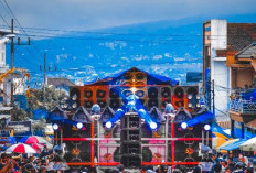 Viral Harga Sewa Brewog Audio Untuk Sound System Karnaval, Horeg Tenan!